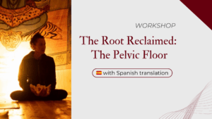 The Root Reclaimed: The Pelvic Floor